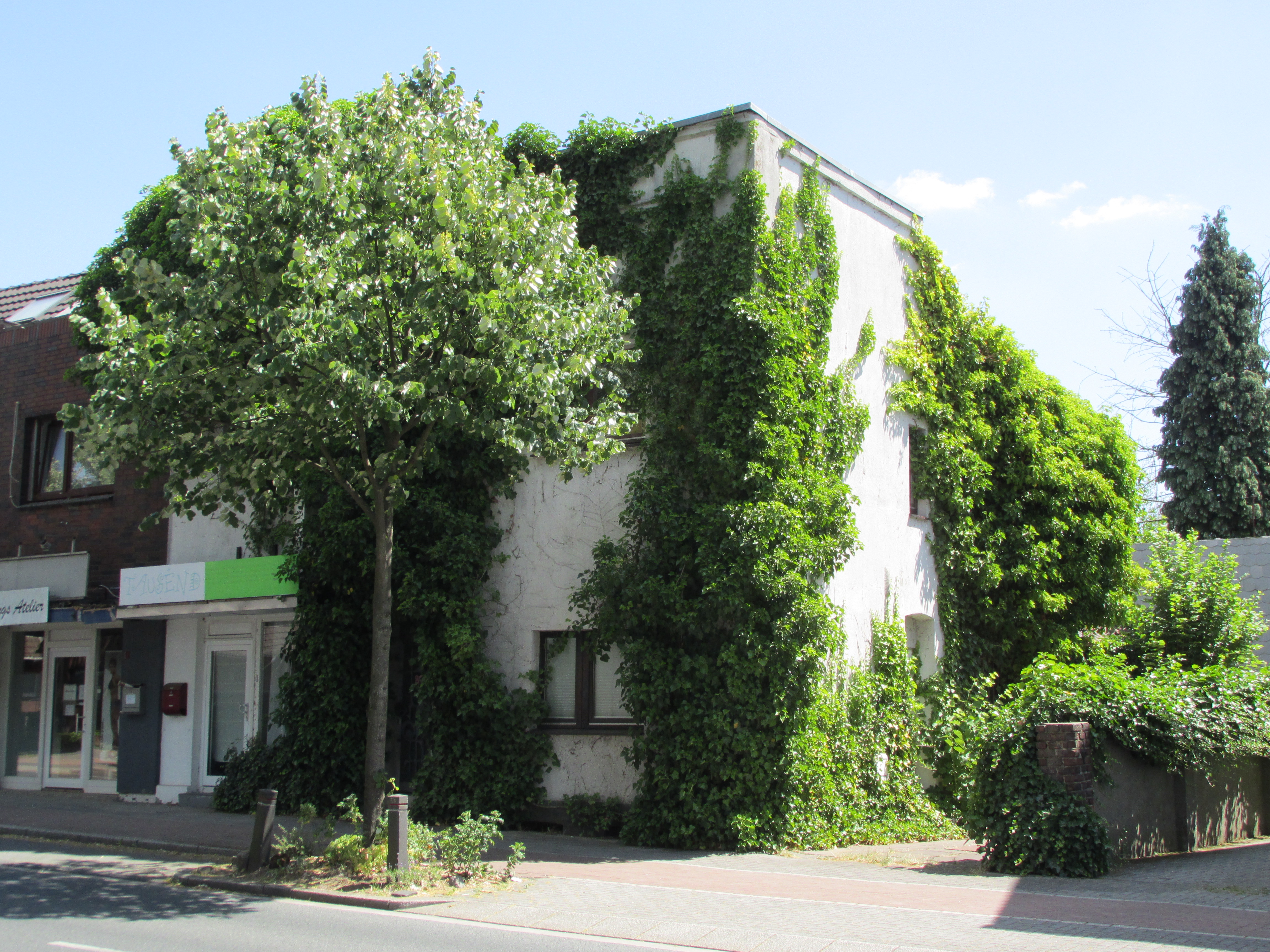 Autoankauf Schmachtendorf